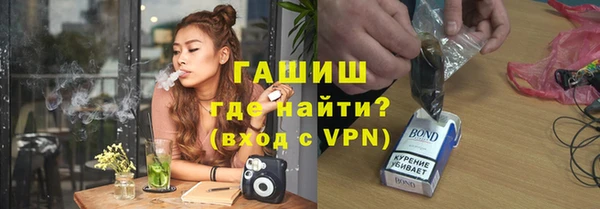 стаф Алзамай