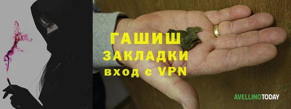 стаф Алзамай