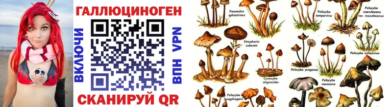 наркотики  Темрюк  Псилоцибиновые грибы ЛСД 