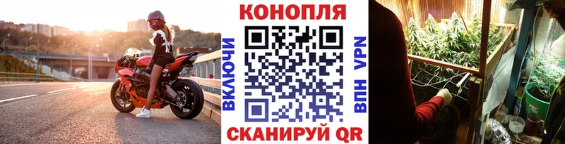 Бошки Шишки OG Kush Темрюк